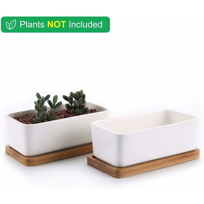 17Cm Ceramic Succulent Pot With Bamboo Tray White 2 pcs Set, Cactus Planter Cache Pot Jardinière Container Gift For - SportZone.co.nz