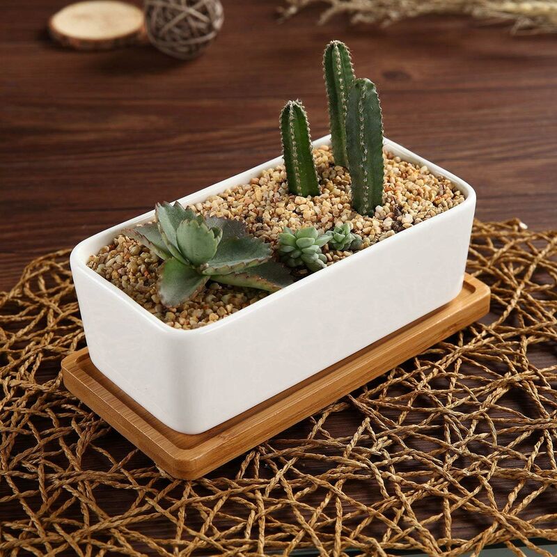17Cm Ceramic Succulent Pot With Bamboo Tray White 2 pcs Set, Cactus Planter Cache Pot Jardinière Container Gift For - SportZone.co.nz