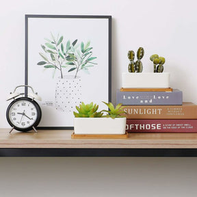 17Cm Ceramic Succulent Pot With Bamboo Tray White 2 pcs Set, Cactus Planter Cache Pot Jardinière Container Gift For - SportZone.co.nz