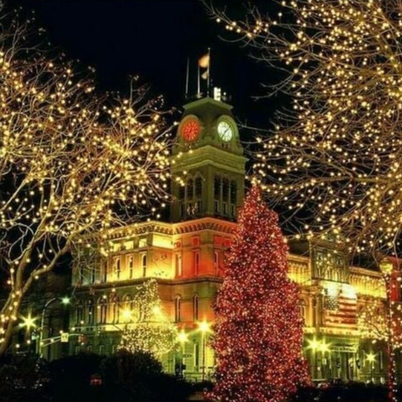 600 LED String Lights Carnival Wedding Outdoor Indoor Garden Lighting warm White, 100M - SportZone.co.nz