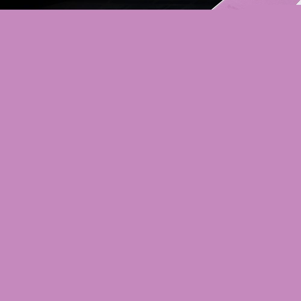 Everfit 3M Air Track Gymnastics Tumbling Exercise Cheerleading Mat Inflatable Purple