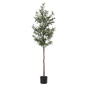 Artiss 180cm Artificial Olive Tree Faux Trees Indoor Decor Artificial Plants Lifelike Plant 1.8M - SportZone.co.nz