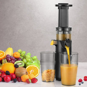 Devanti Slow Juicer Cold Press Fruit Juice Extractor 130W Black - SportZone.co.nz