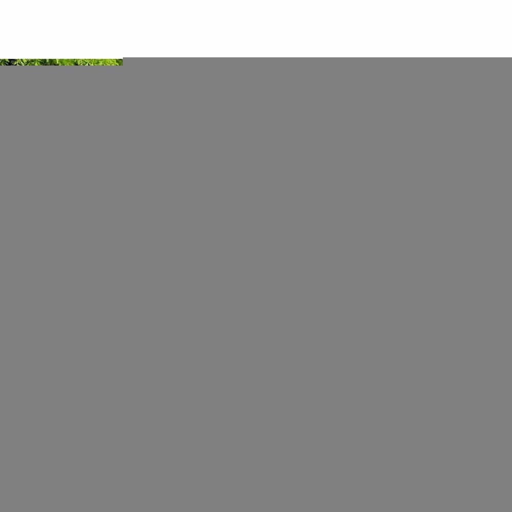 Seamanship Boat Cover 23 - 25ft Trailerable Jumbo Marine 600D Heavy Duty Grey - SportZone.co.nz